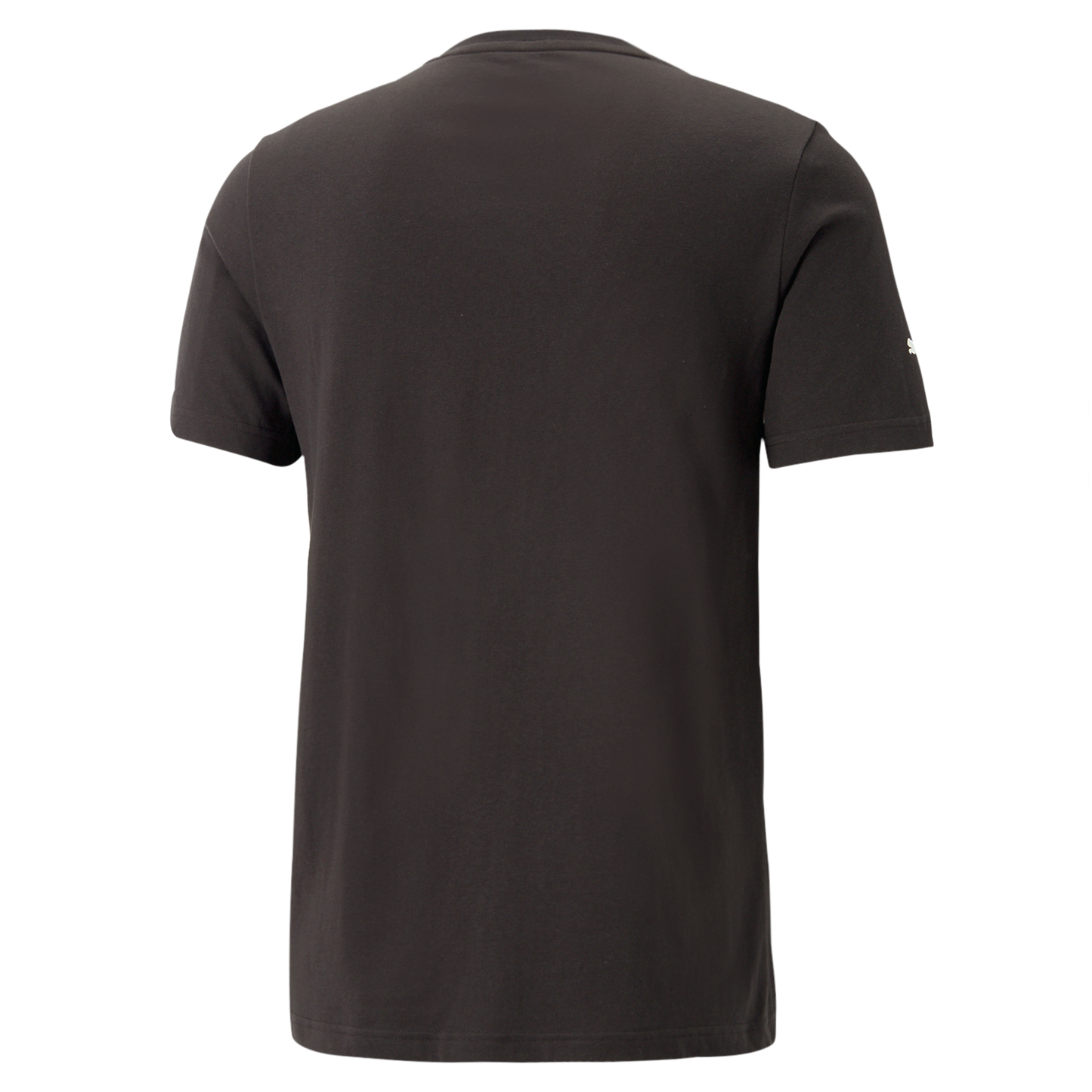 BMW M Motorsport Statement Tee Men
