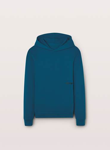 BMW Sweat Hoodie Men's