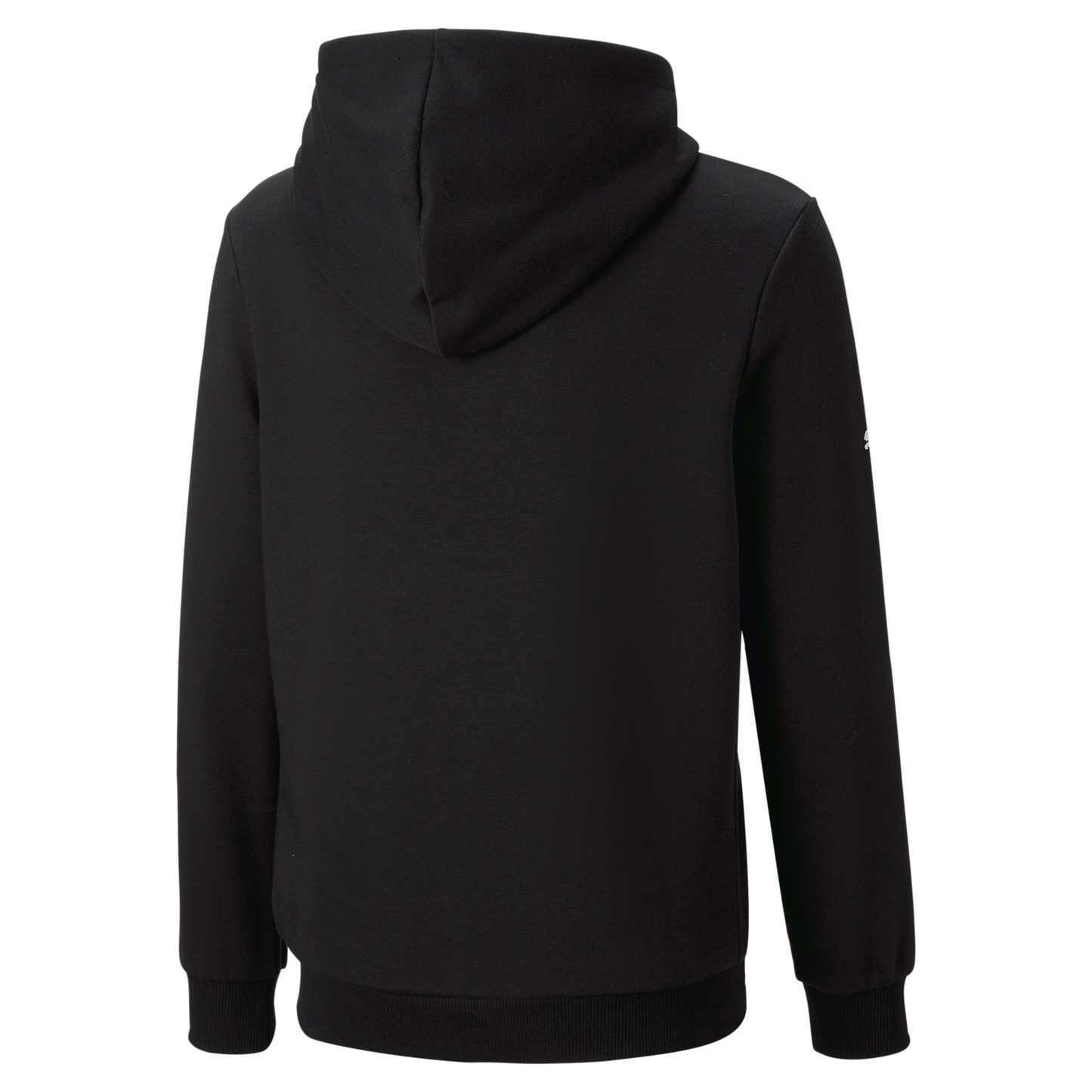 BMW M Motorsport Logo Hoodie Women