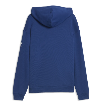 BMW M Motorsport Lifestyle Hoodie